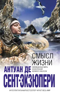Обложка Смысл жизни