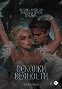 Обложка Осколки вечности