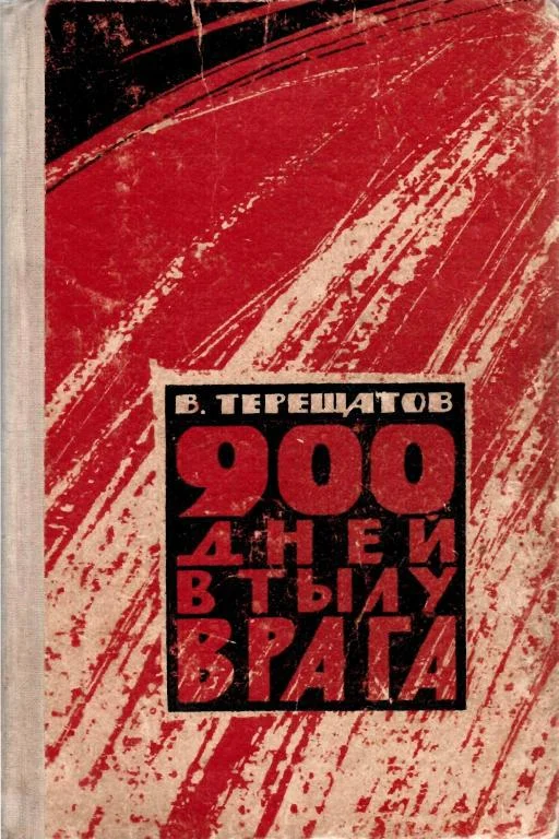 Обложка 900 дней в тылу врага