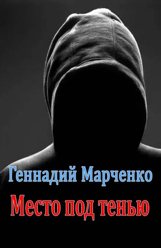 Обложка Место под тенью