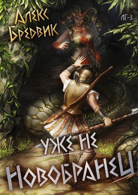 Обложка Уже не новобранец
