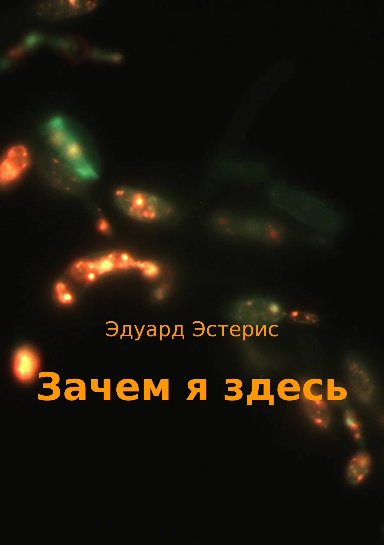 Обложка Зачем я здесь