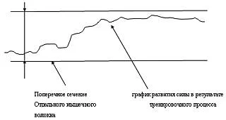 Обложка Стероидный московский лохотрон "доктора Любера"