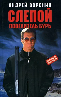 Обложка Повелитель бурь