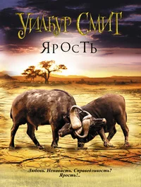 Обложка Ярость