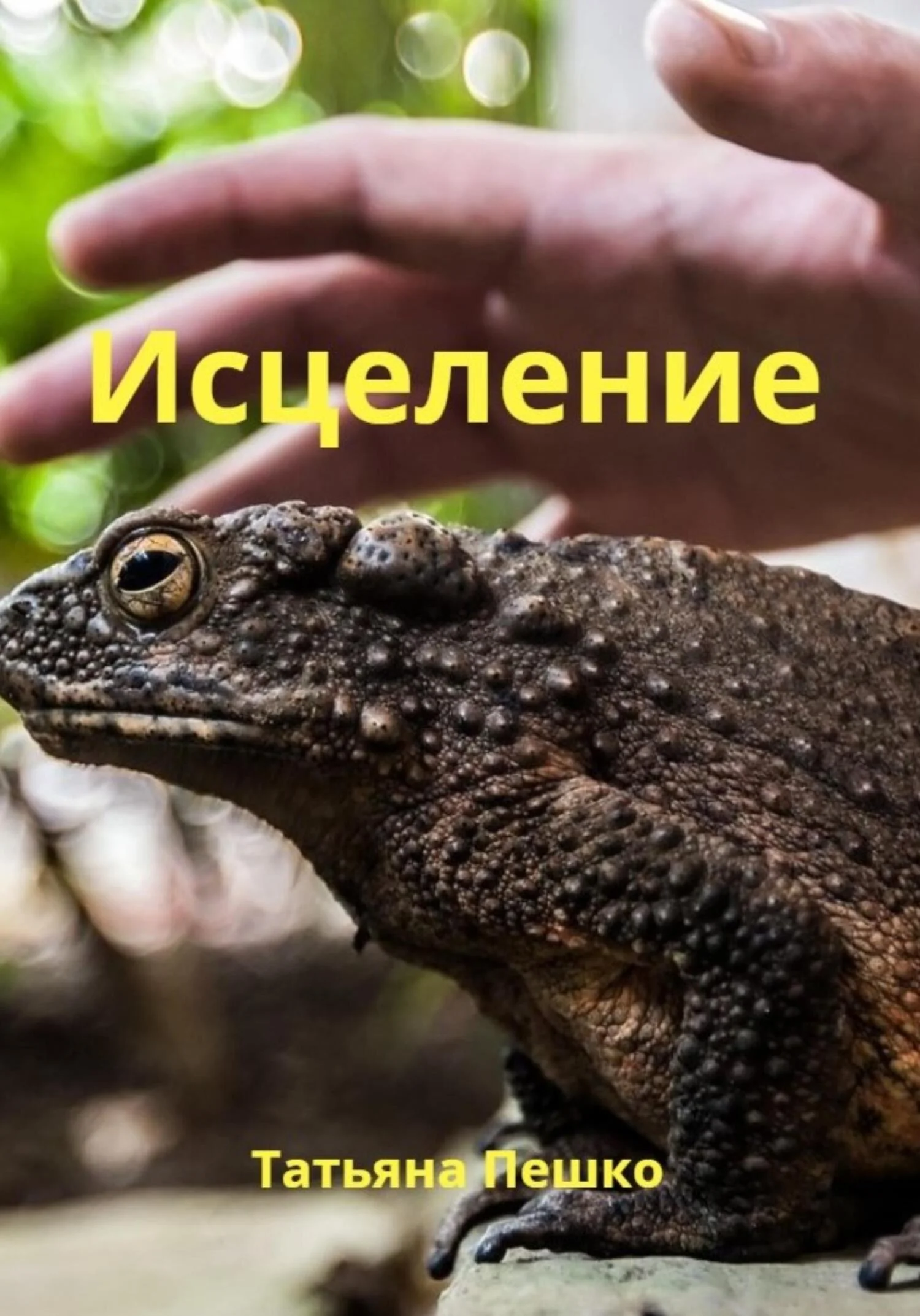 Обложка Исцеление