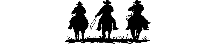 Обложка Анекдоты о ковбоях