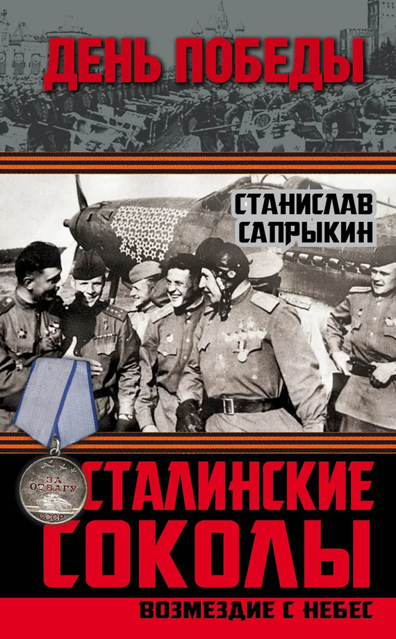 Обложка Сталинские соколы