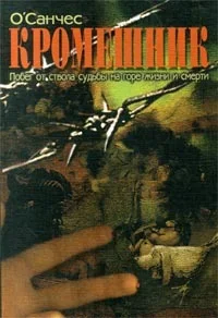 Обложка Кромешник. Книга 2