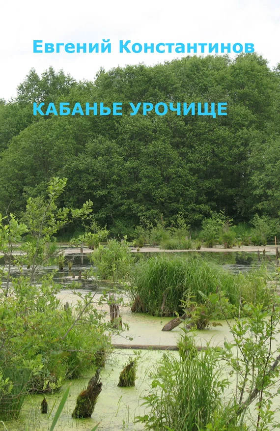 Обложка Кабанье урочище