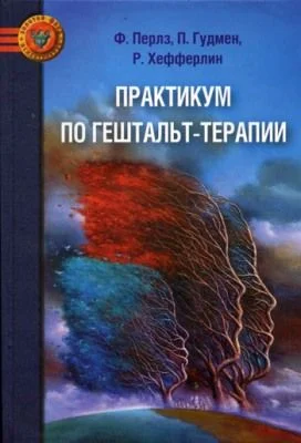 Обложка Практикум по гештальт-терапии