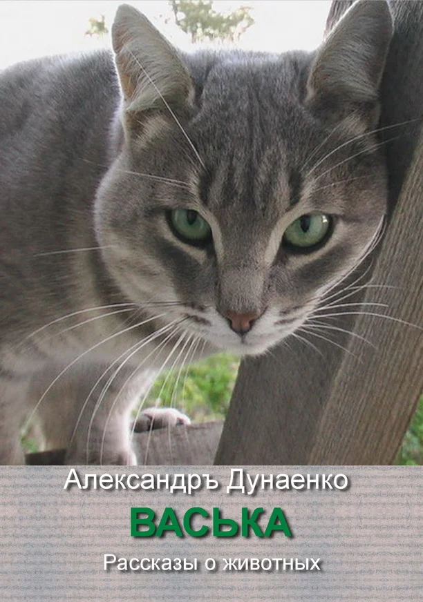 Обложка Васька