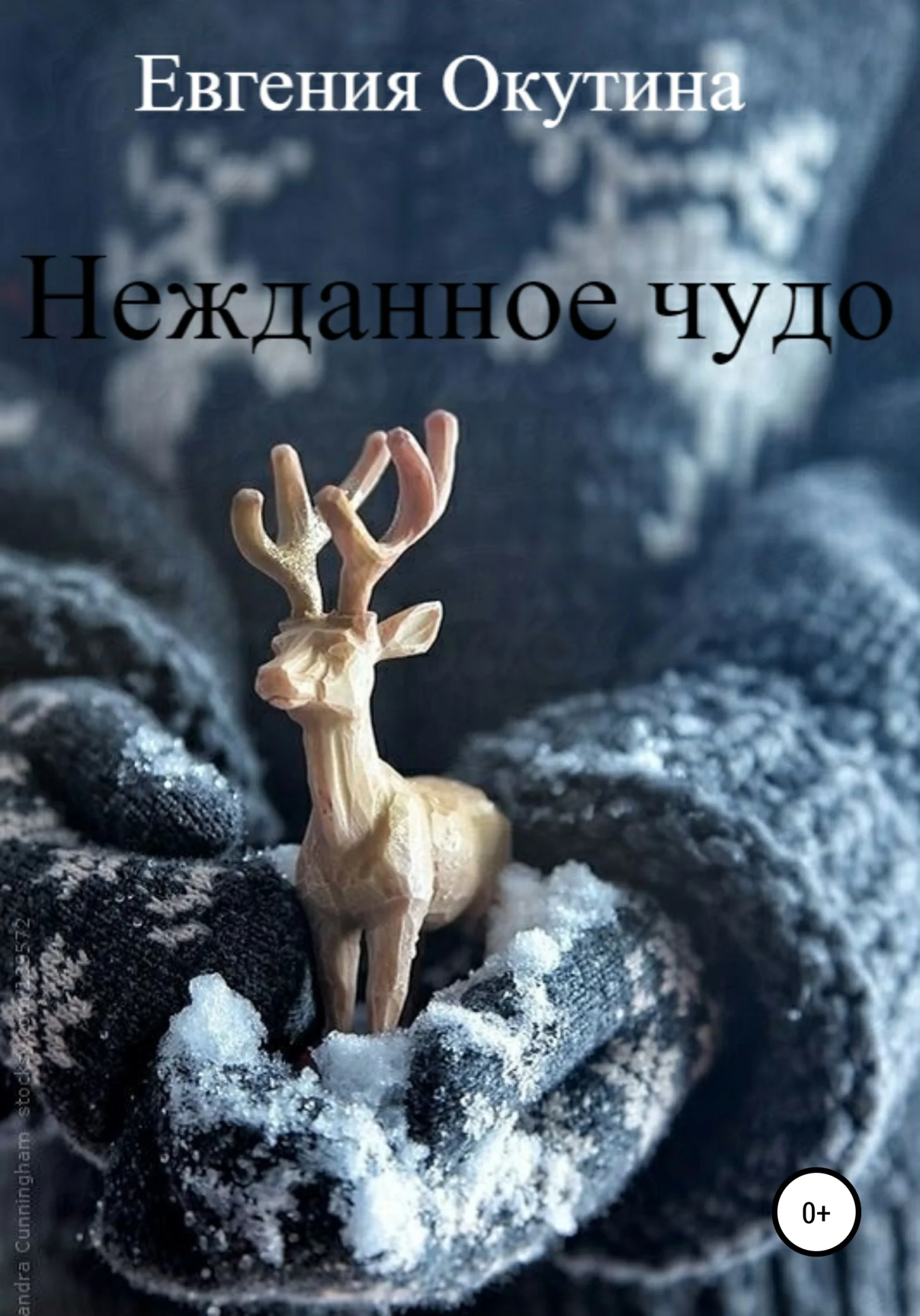 Обложка Нежданное чудо