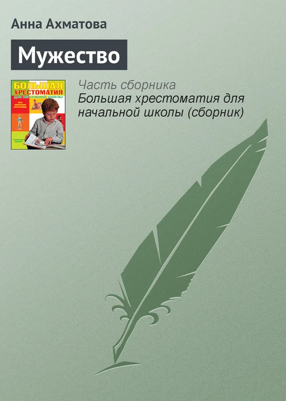 Обложка Мужество