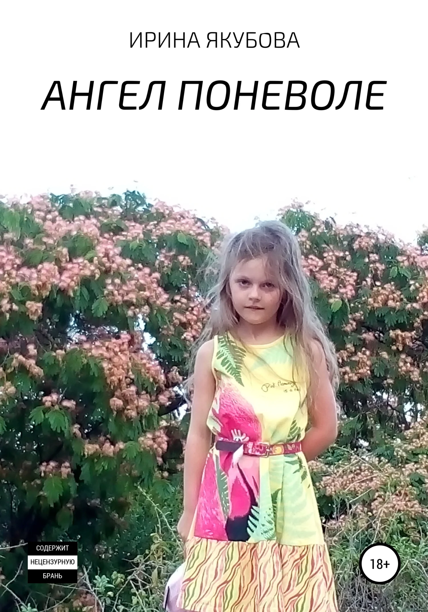 Обложка Ангел поневоле