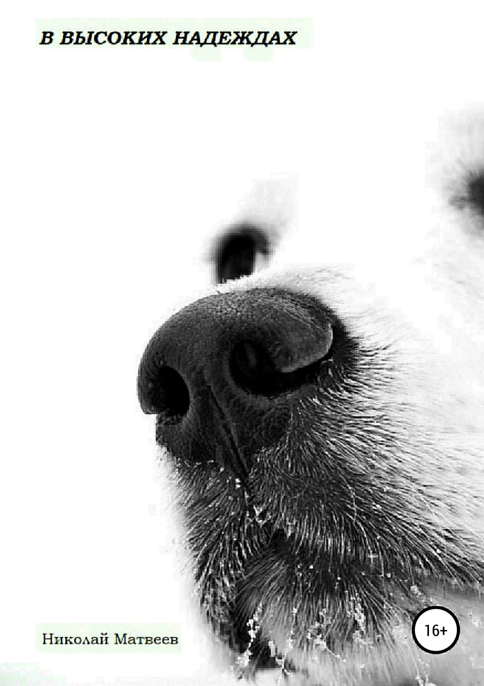 Обложка В высоких надеждах