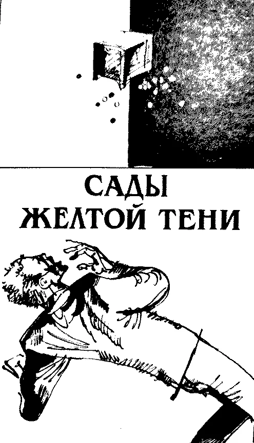 Обложка Сады Жёлтой тени
