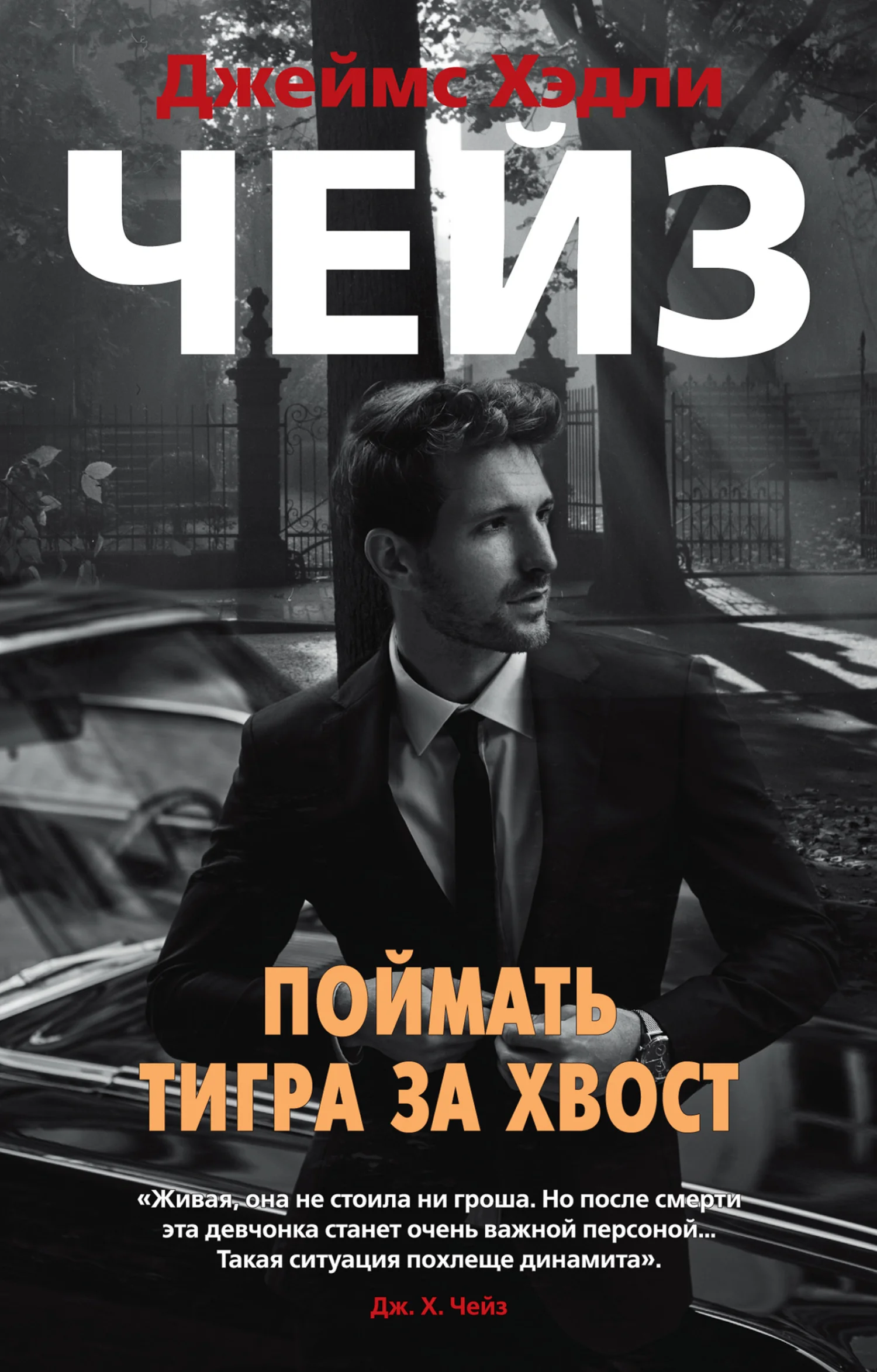 Обложка Поймать тигра за хвост