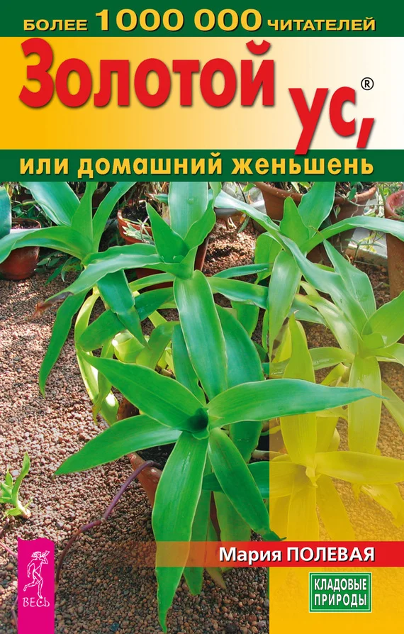 Обложка Золотой ус, или домашний женьшень