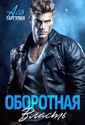 Обложка Оборотная власть