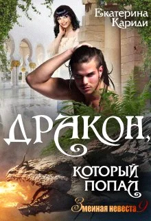 Обложка Дракон, который попал