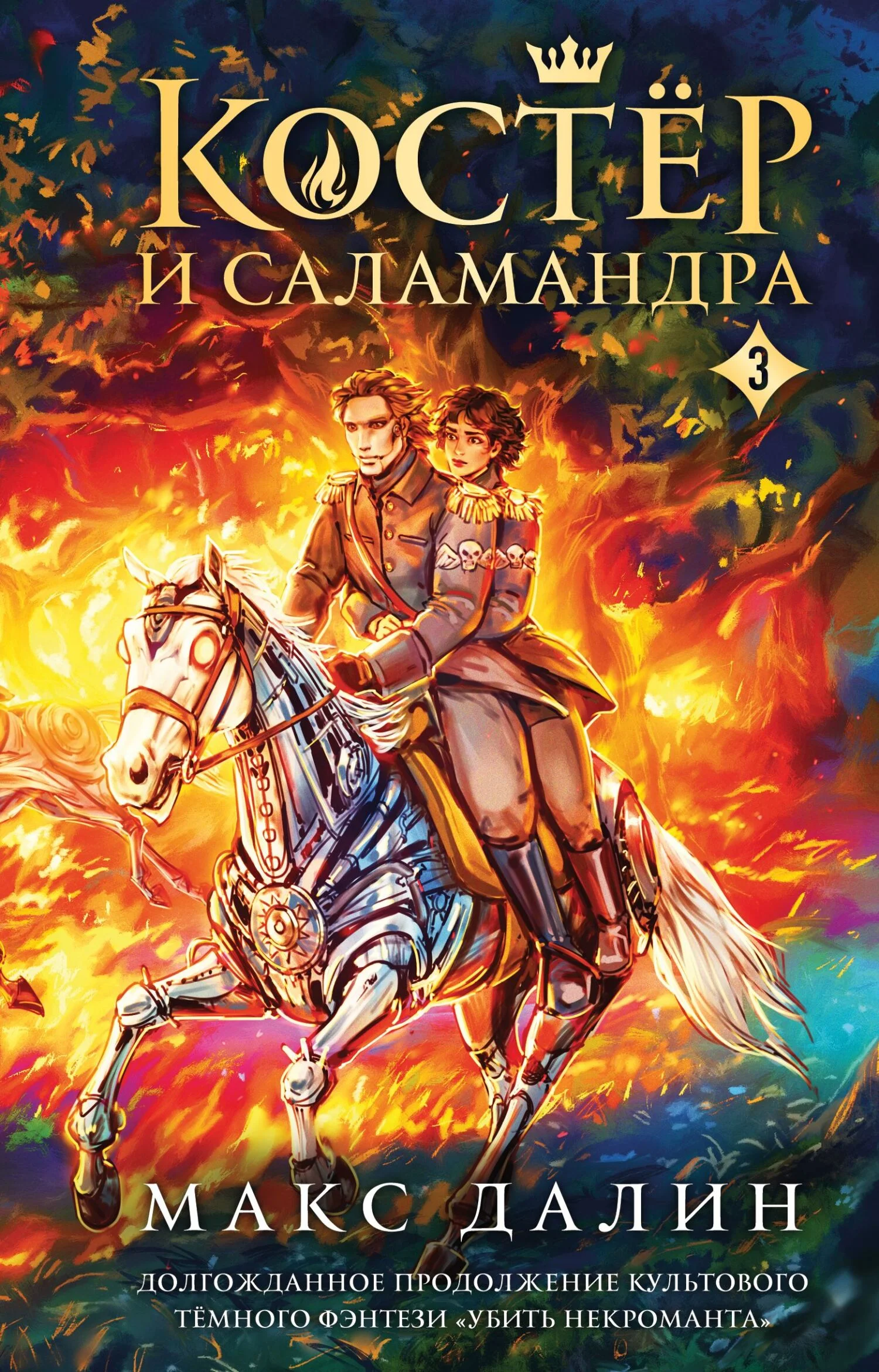 Обложка Костер и Саламандра. Книга 3