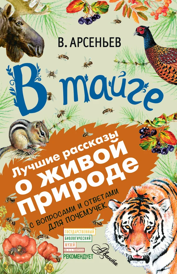 Обложка В тайге