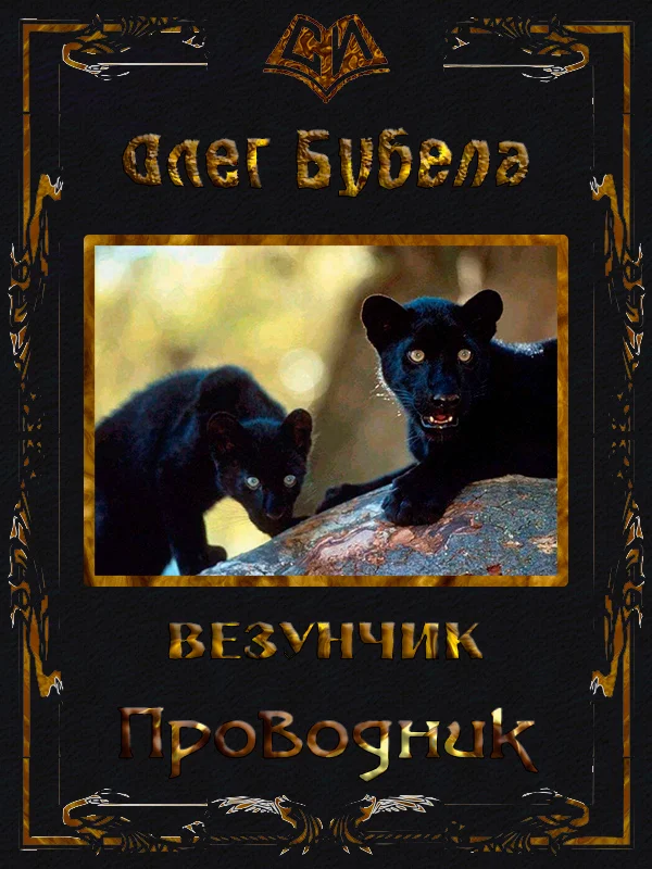 Обложка Проводник