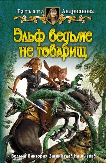 Обложка Эльф ведьме не товарищ