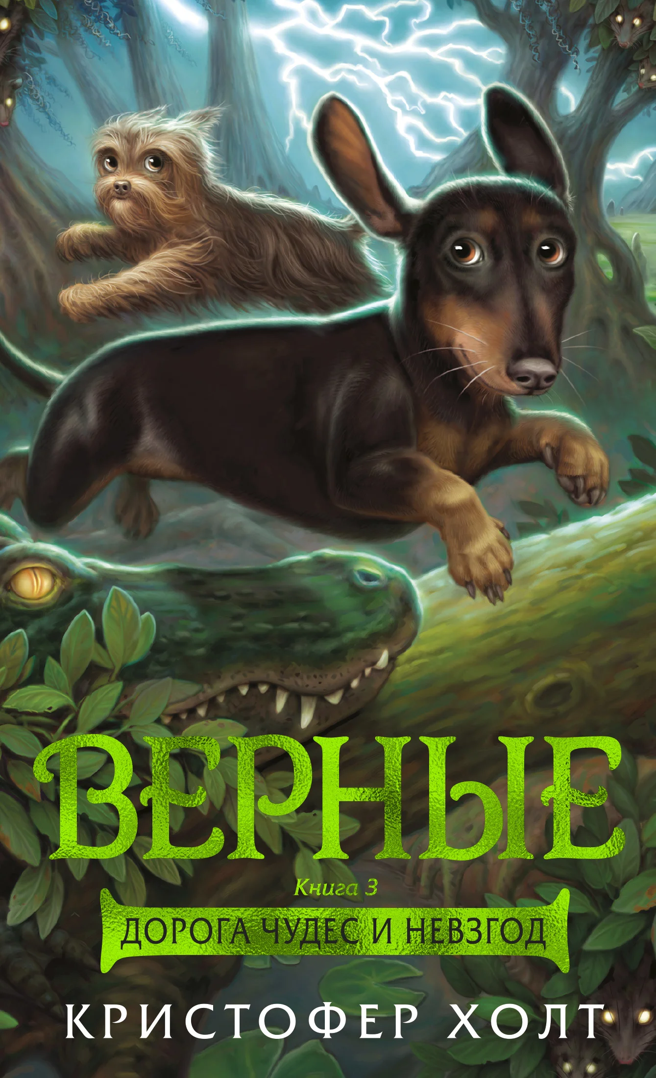 Обложка Дорога чудес и невзгод