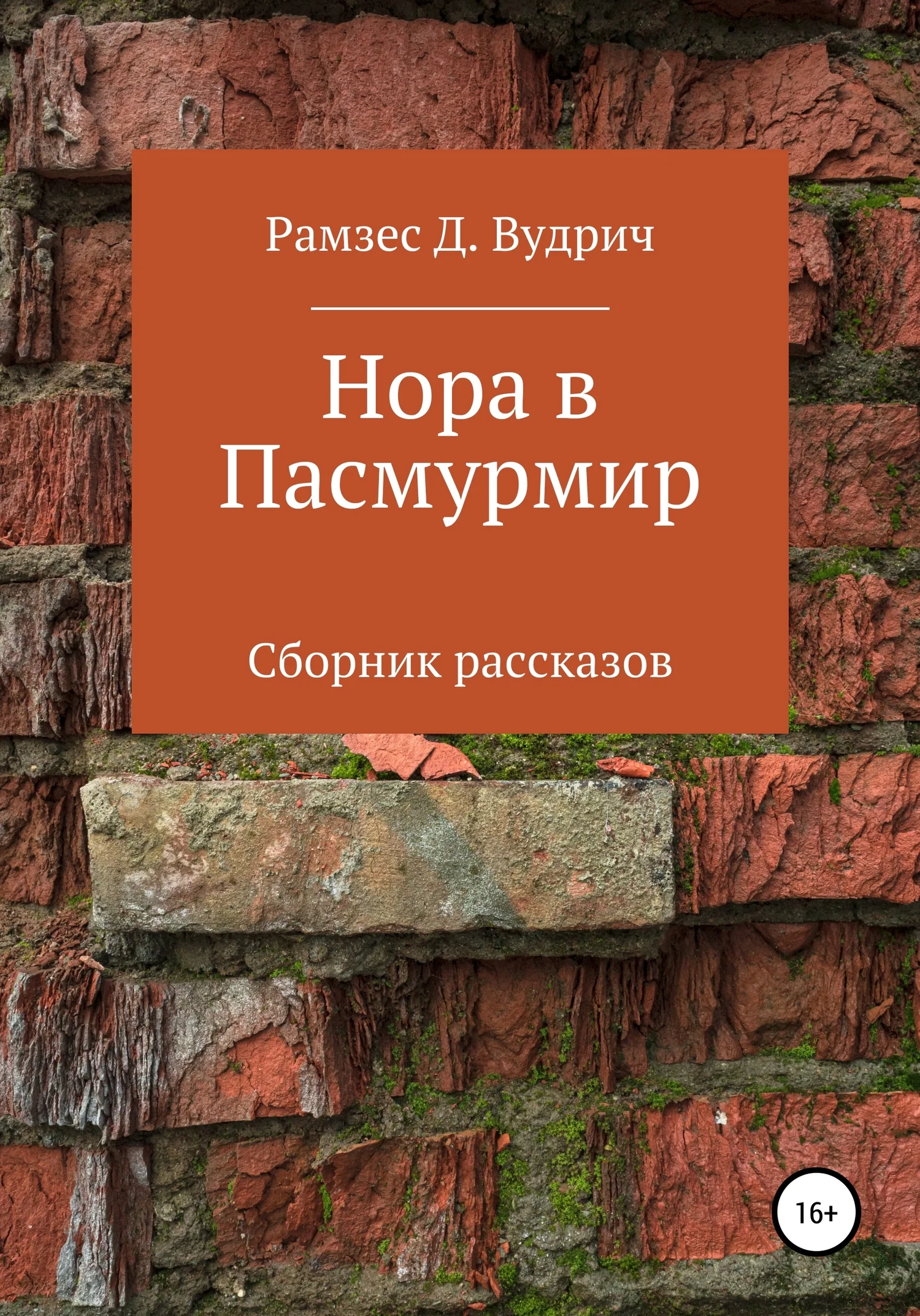 Обложка Нора в Пасмурмир. Сборник рассказов