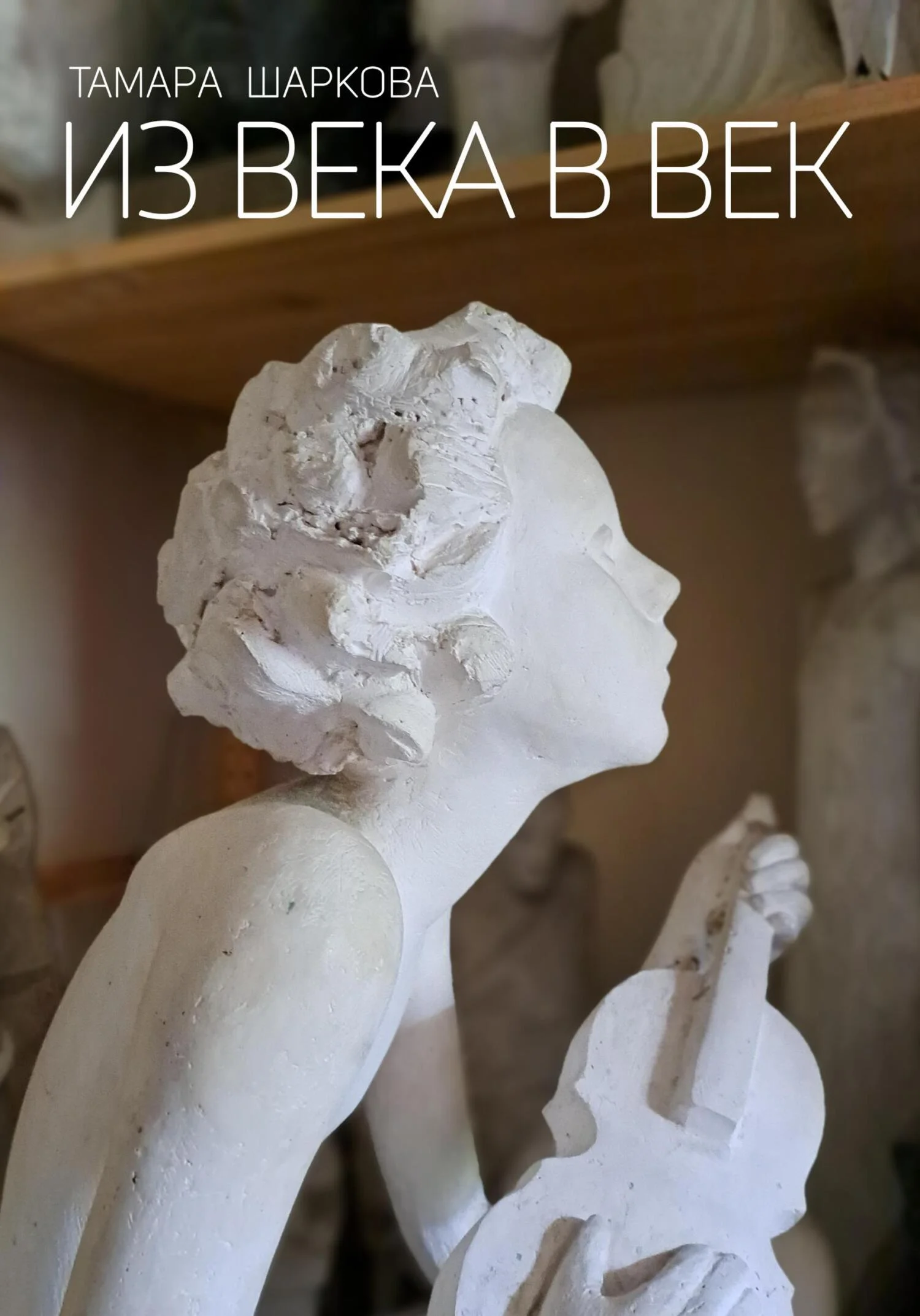 Обложка Из века в век