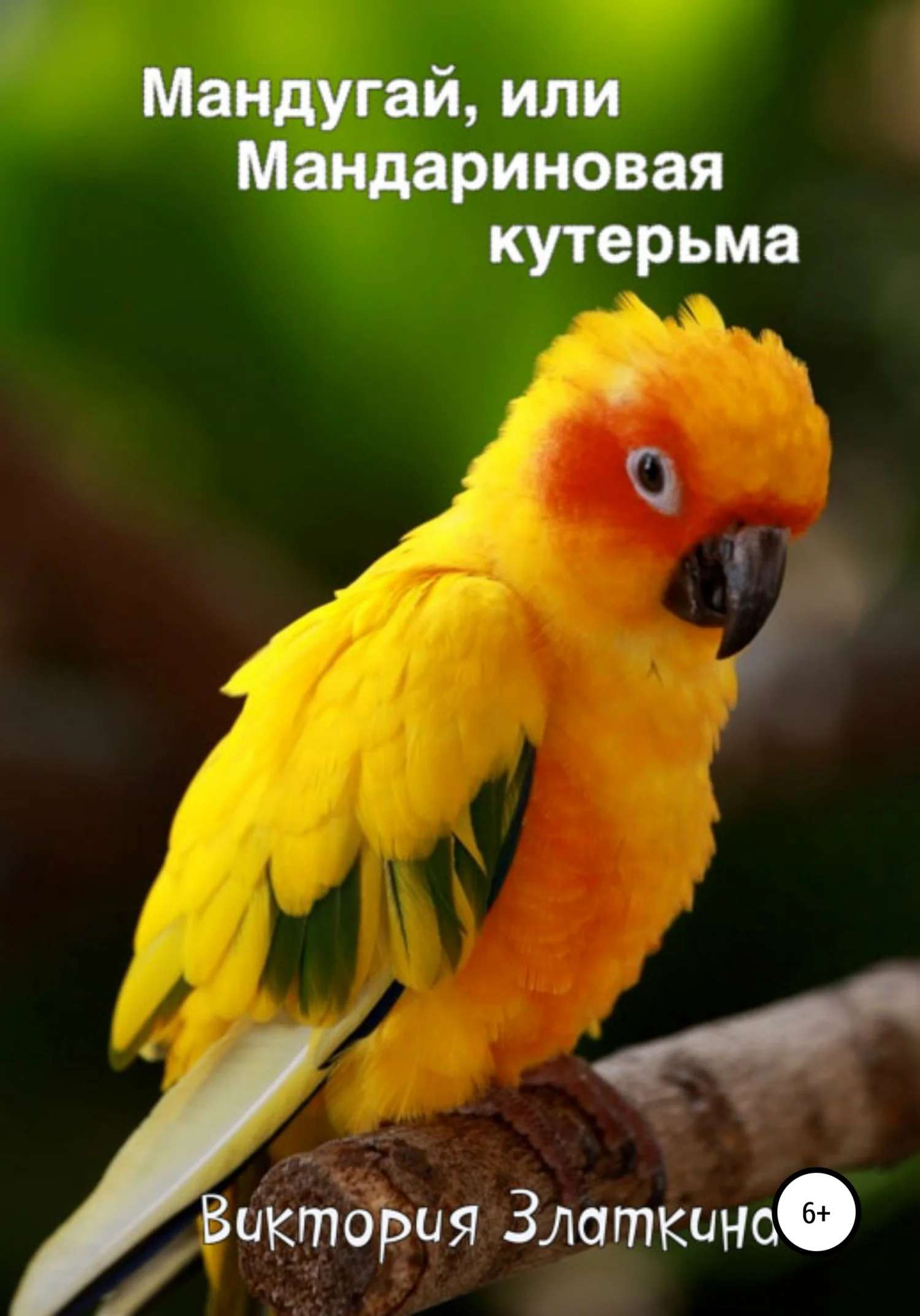 Обложка Мандугай, или Мандариновая кутерьма