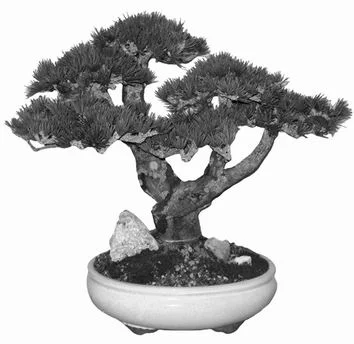 Обложка Страна для внутренней эмиграции. Образ Японии в позднесоветской картине мира