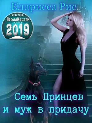Обложка Семь Принцев и муж в придачу [СИ]