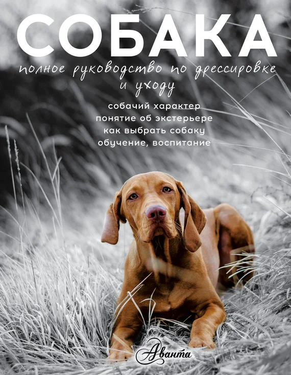 Обложка Собака. Полное руководство по дрессировке и уходу