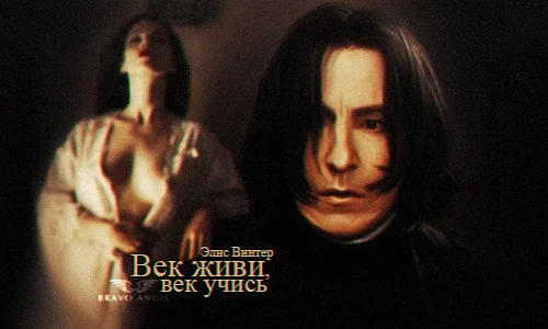 Обложка Век живи, век учись (СИ)