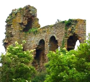 Обложка Эликсир молодости