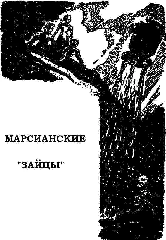 Обложка Марсианские «зайцы»