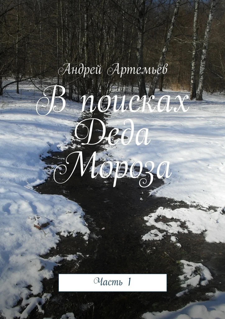 Обложка В поисках Деда Мороза
