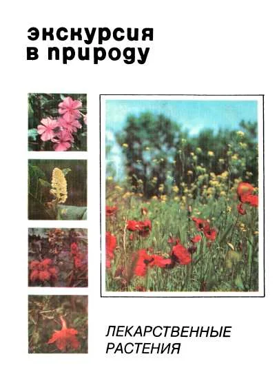 Обложка Экскурсия в природу. Лекарственные растения. Выпуск 1