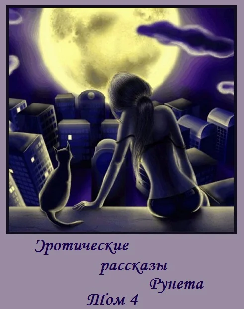 Обложка Эротические рассказы Рунета - Том 4