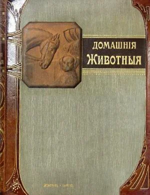 Обложка Наши домашнiя животныя. Собаки