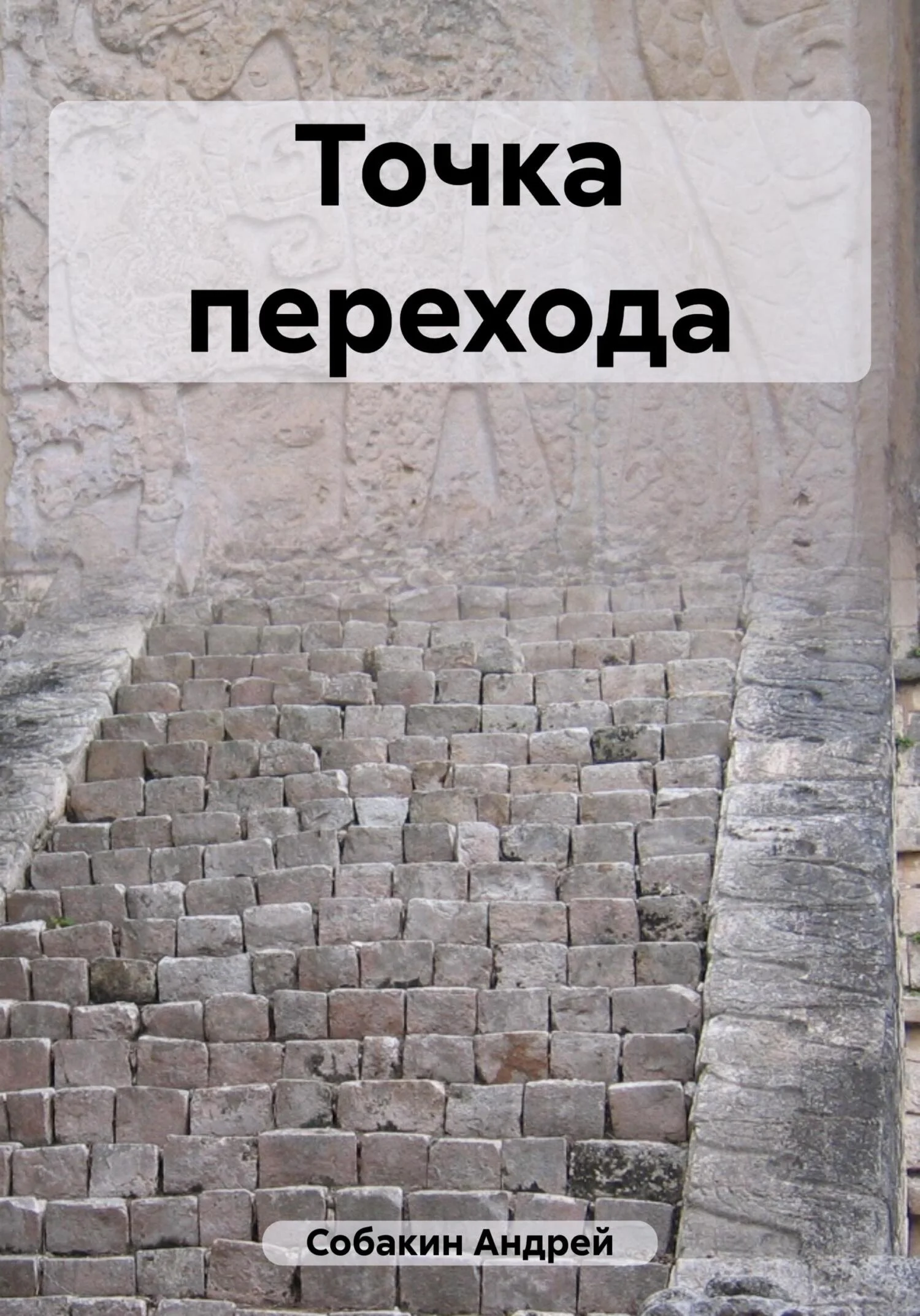 Обложка Точка перехода