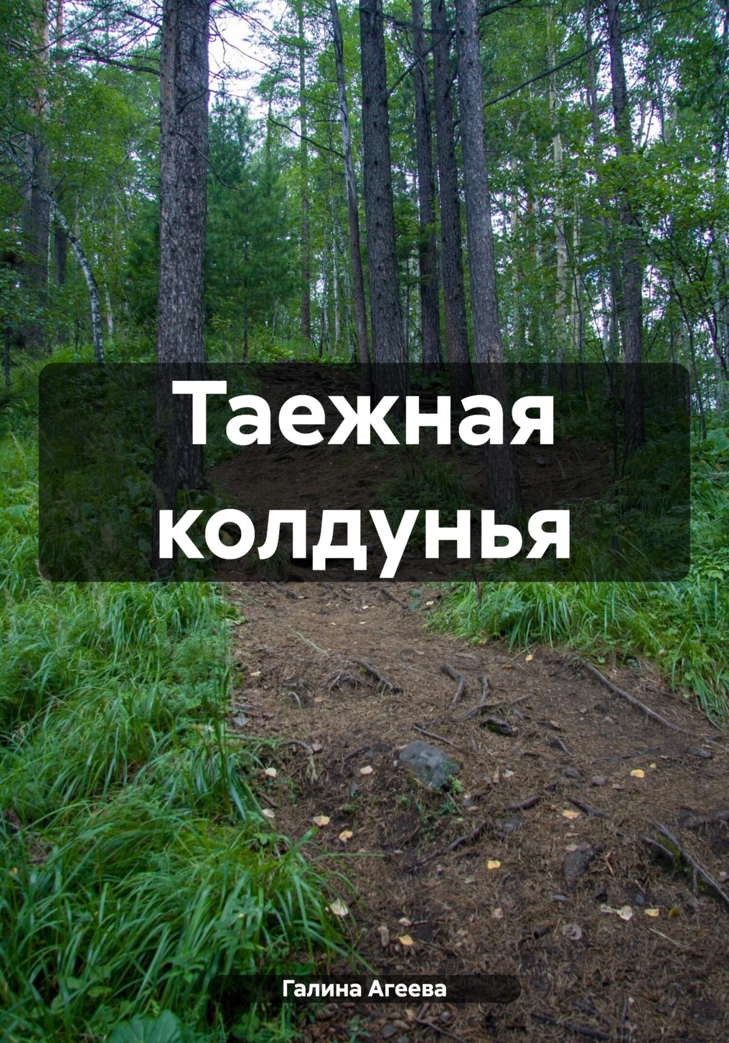 Обложка Таежная колдунья