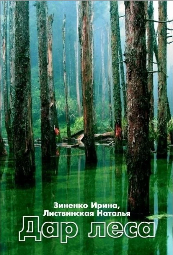 Обложка Дар Леса