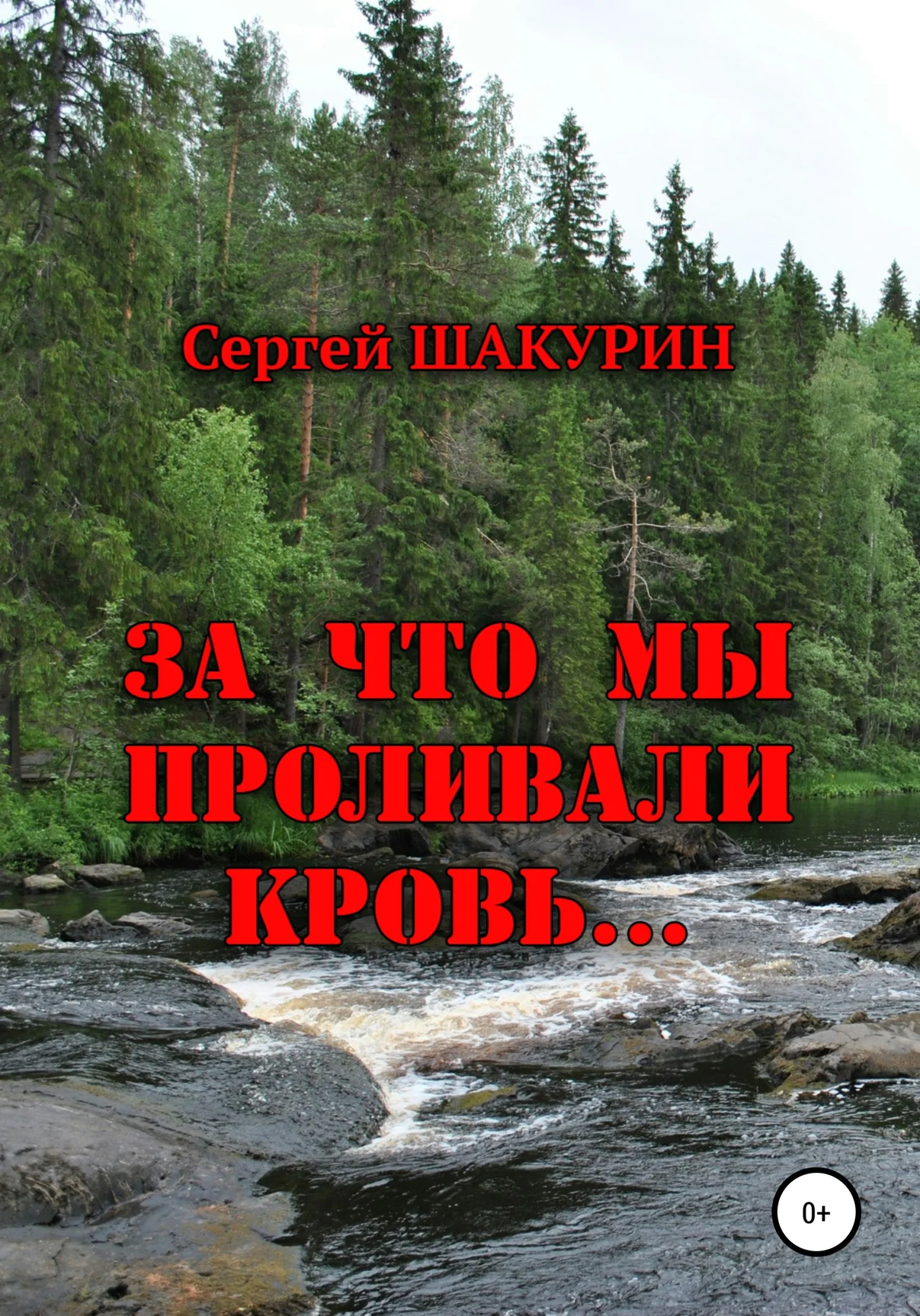 Обложка За что мы проливали кровь…