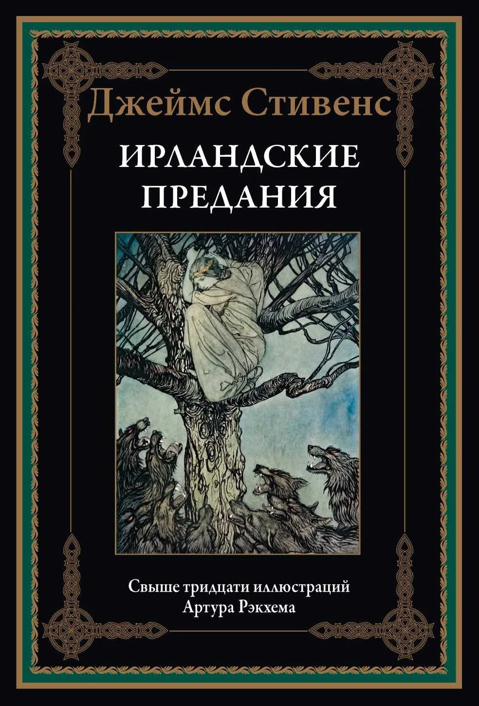 Обложка Ирландские предания