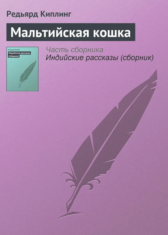 Обложка Мальтийская кошка