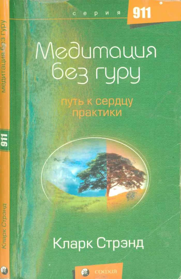 Обложка Медитация без гуру: Путь к сердцу практики